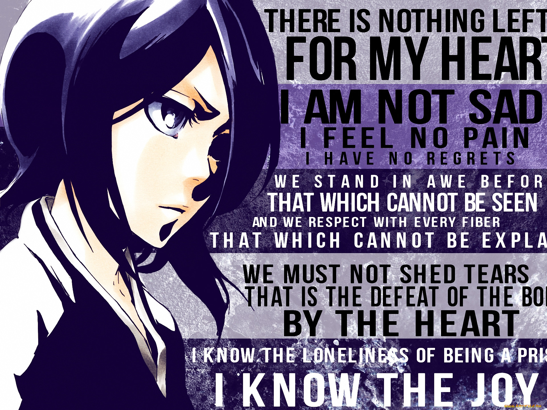 , bleach, , rukia, kuchiki, , shinigami